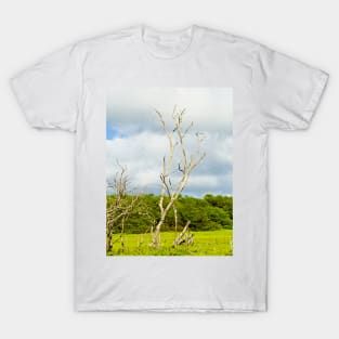 Molokai Study 10 T-Shirt